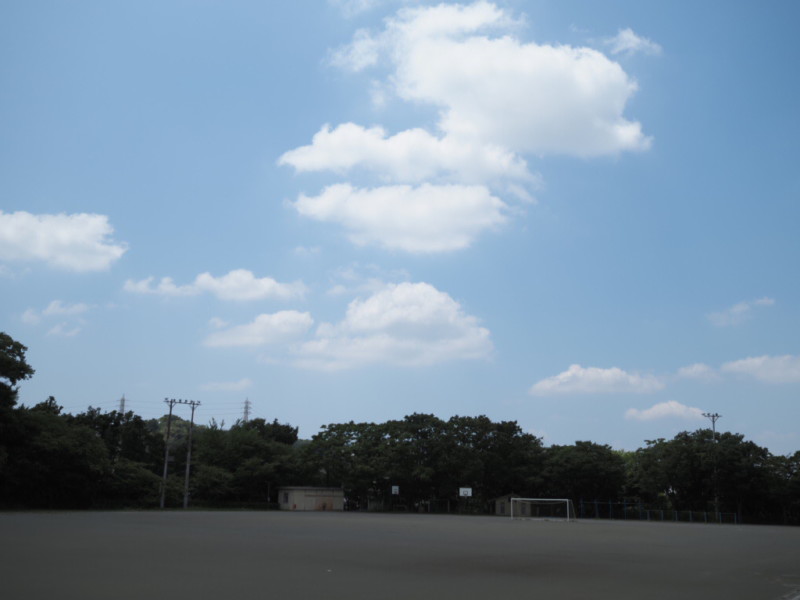 夏の誰もいない校庭を移した画像