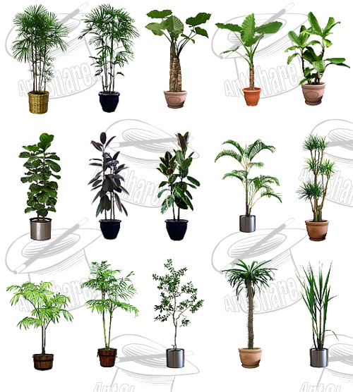 モノストック グラフィック Webデザインに役立つモノをストック 植木 観葉植物の切り抜き素材