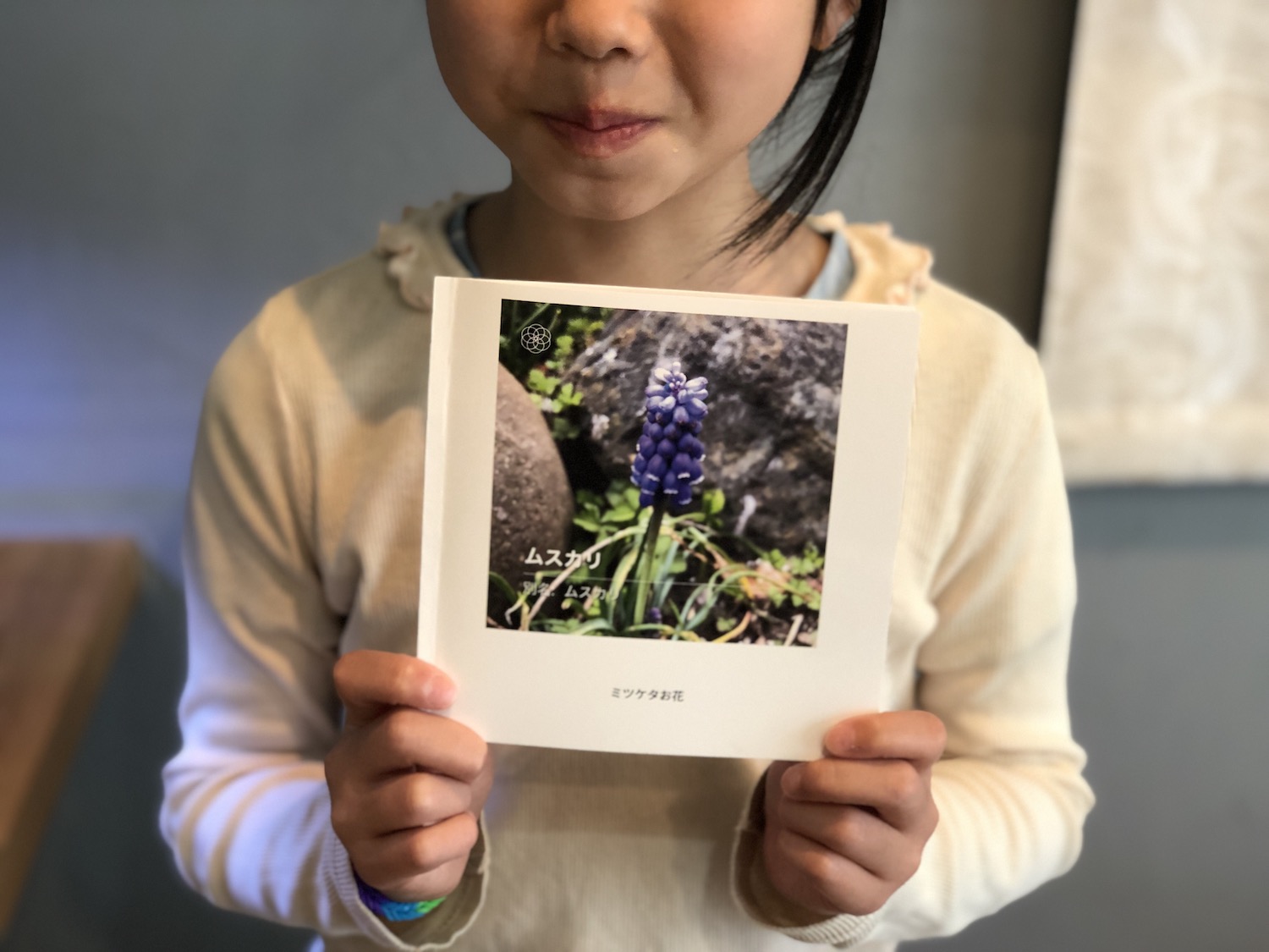子供と一緒に散歩で出会った花の図鑑を作ろう ハナノハ ノハナは春の散歩を一層楽しくしてくれるアプリだった モノストックブログ Mono Stock Blog スターウォーズファン親子の工作と子育て奮闘記やらなにやら