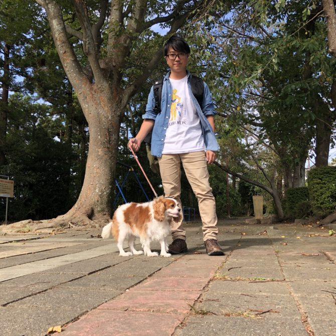 犬と鎌倉散歩